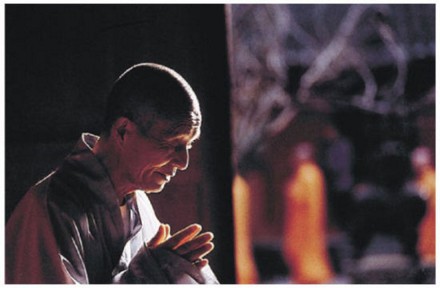 念佛法门原则：宁可少、不可草