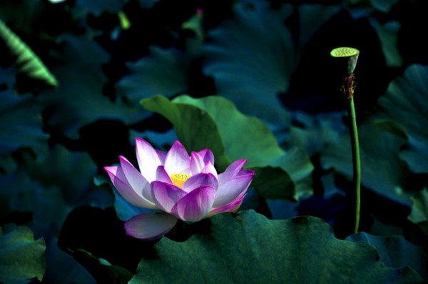 临事对人时，应抱持怎样的态度