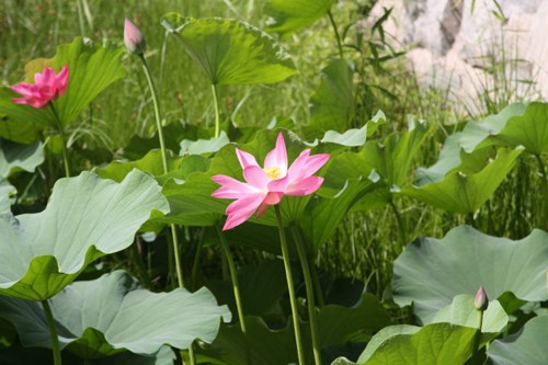 度过人生种种难关，要做到这四点