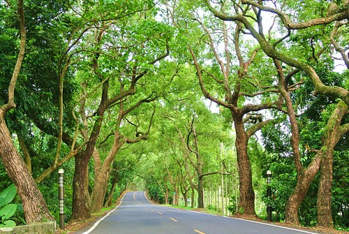 顺其自然就好，心安自然快乐