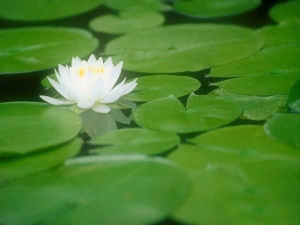 忙是人生的滋养剂