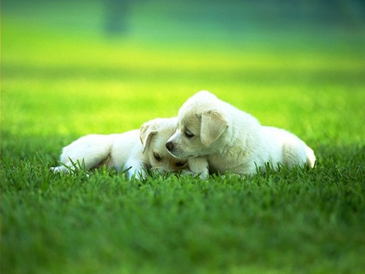 懂得人生哲理,幸福就常在身边