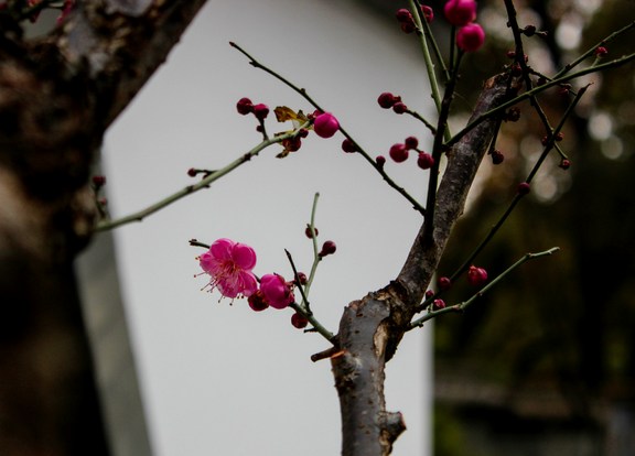 忽略做人的教育会带来什么问题