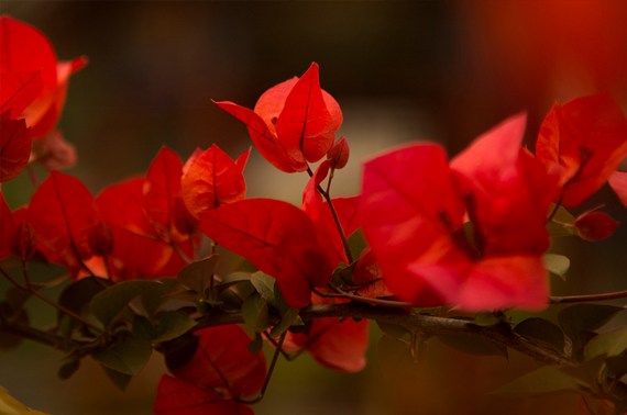 会观照的人，还怕人生会不圆满吗