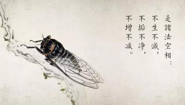 依止不生灭心为本修因