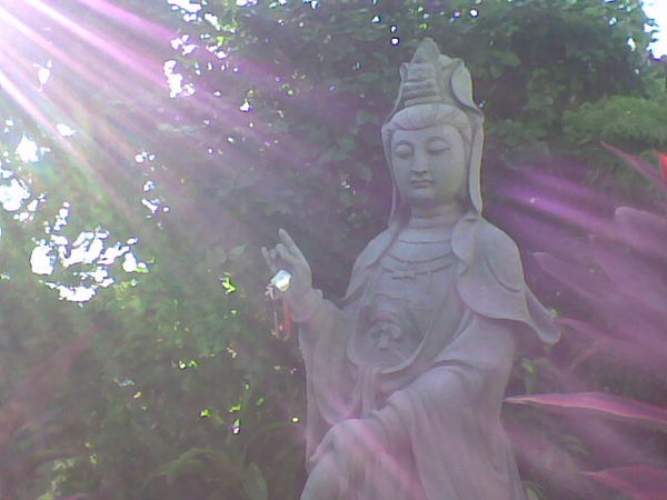 成佛路上的难行道与易行道