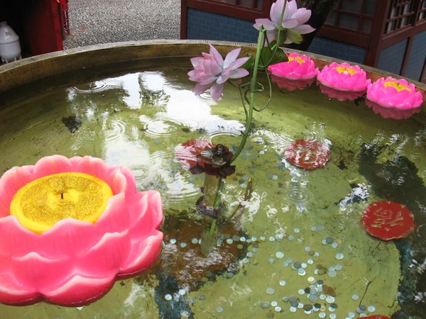 不求才能得到，放下才能圆满