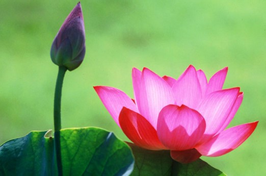 佛教的十九种修持法门