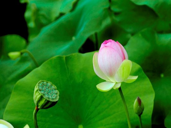 人身不用来修行，实在可惜