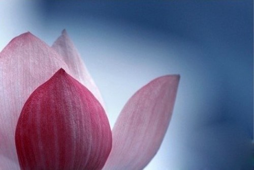 未论学佛，先学修身