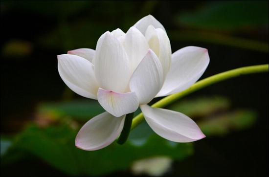 每天都给自己一个检验