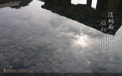 攀缘心要如何消灭它呢