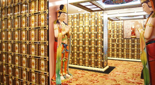 种好你生命的福田