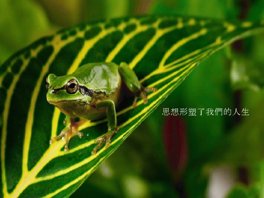 一切从自己身上找原因