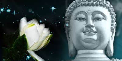 佛说五「不」连贯起来的修行路