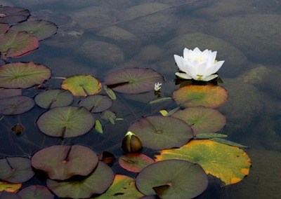 下决心去改正，习惯后就不难了