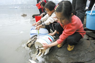 面对每天许许多多的无奈