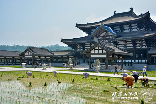 坐卧不知元是道，只么忙忙受苦辛