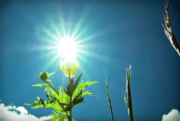 因果关系中的三种错见