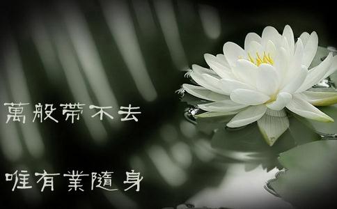 万般带不去，唯有业随身