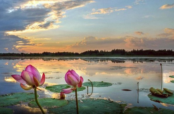 鬼世界的详细揭秘