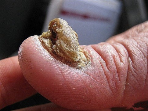 现代真实因果报应的故事(有图有真相)