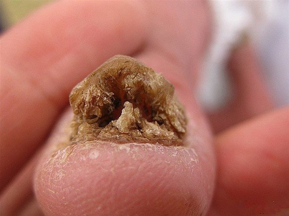 现代真实因果报应的故事(有图有真相)