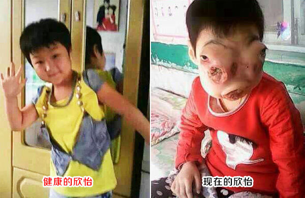 现代真实因果报应的故事(有图有真相)