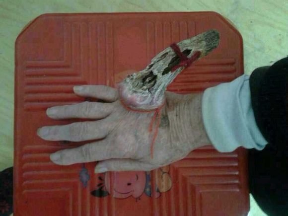 现代真实因果报应的故事(有图有真相)