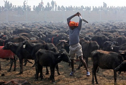 杀业太重所以有病