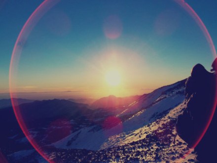 十不善业所招感的恶业果报