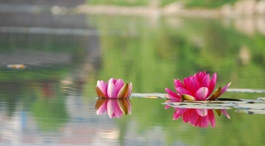 现报、生报、后报