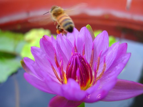 福报不够，干起坏事无比顺利