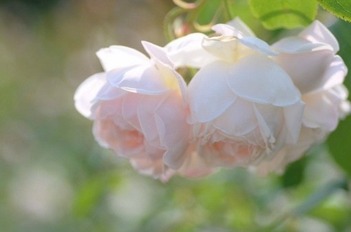 嫉妒别人只会害了自己