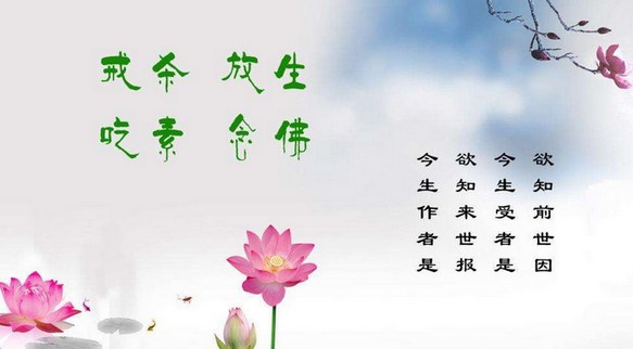 残忍杀龟，遭遇惨烈相似报应