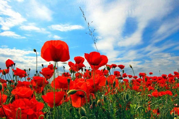 如何远离那些不顺的报应