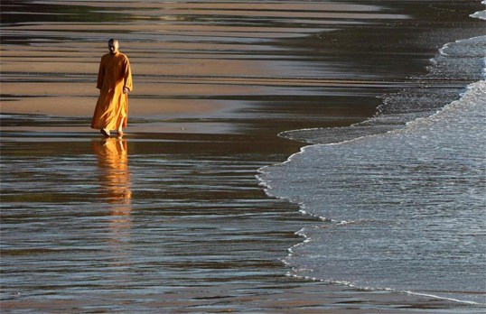 务必谨慎取舍因果