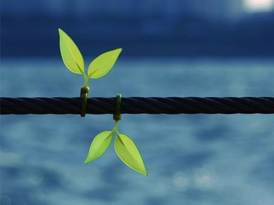 但存方寸地，留与子孙耕