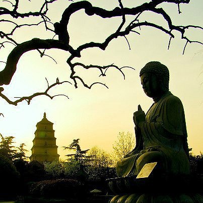 真明白布施的道理了，就不会等