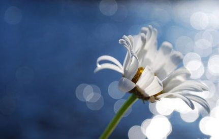 从果报中反省自己的因地