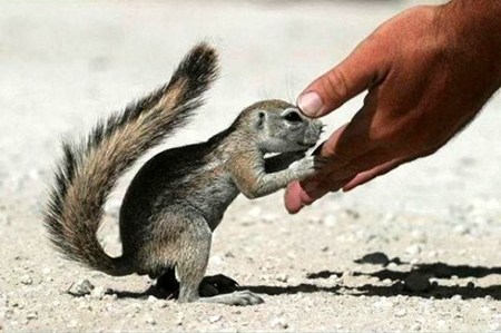 你杀过多少生命?