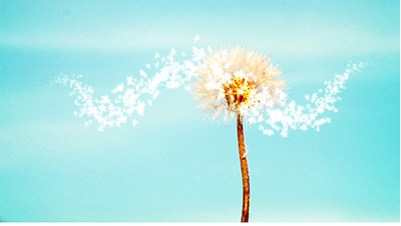 善恶有报的科学实证