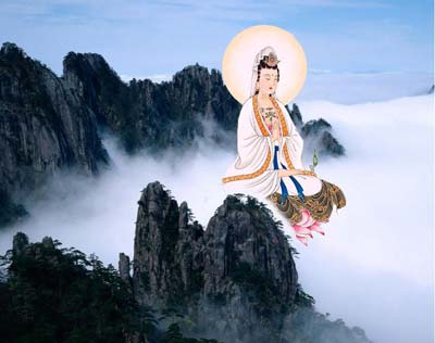 佛教你看前世因缘