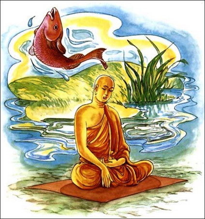 三世因果迟速有报