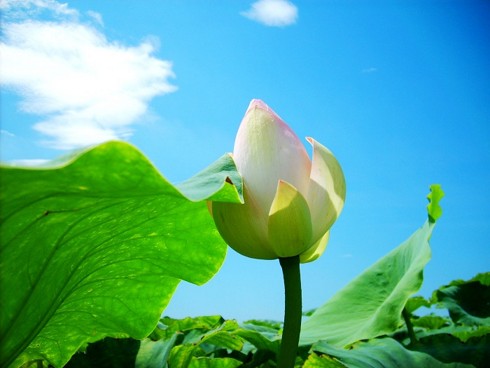 造恶业不得果报的两种原因