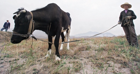 吃动物的肉，迟早要还的