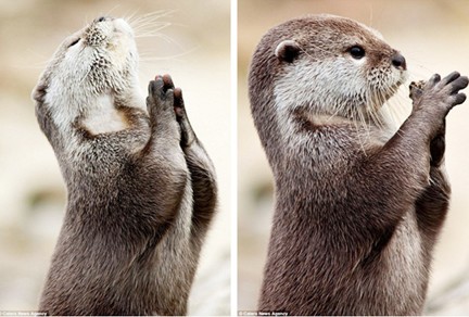 一念虔诚 因小果大