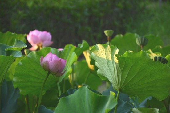 今生的际遇，是前世修来的