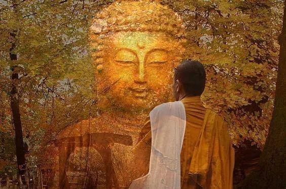 芸芸众生哪个不是为了躯壳而忙