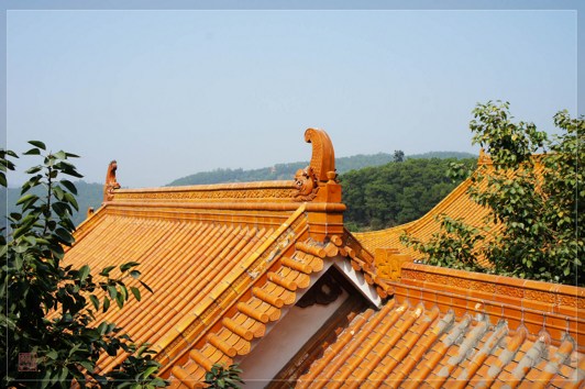 深信因果是学佛的根本